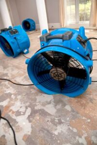 Drying Fans